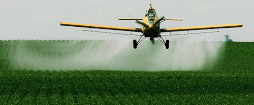 Agricultural field